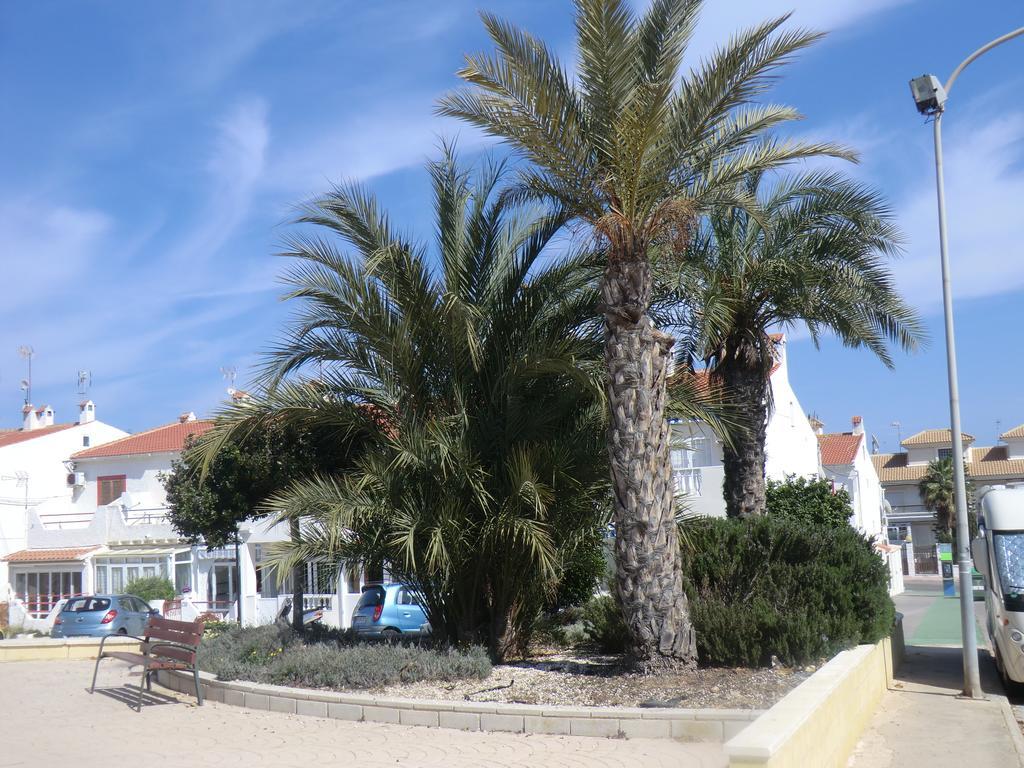 Casas Holiday - Playa La Mata 1トレビエハ エクステリア 写真